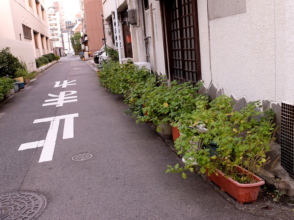 rues fleuries Yokogawa