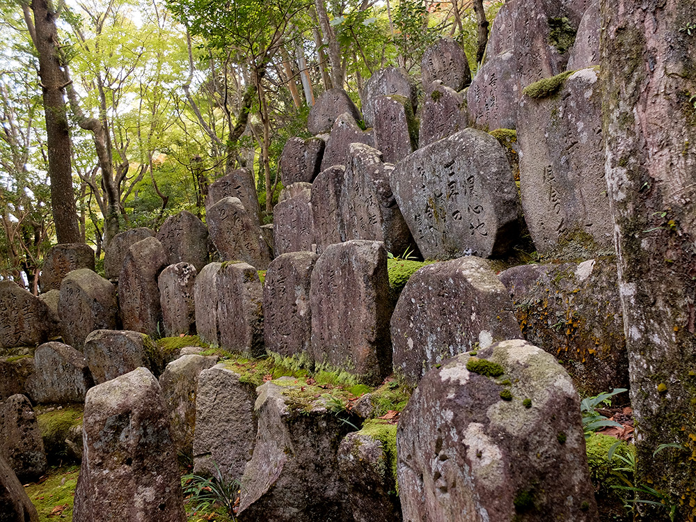 pierres et mousse à Mitaki