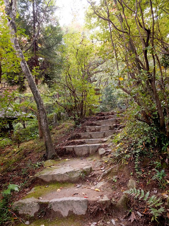 Escaliers de pierre à Mitaki