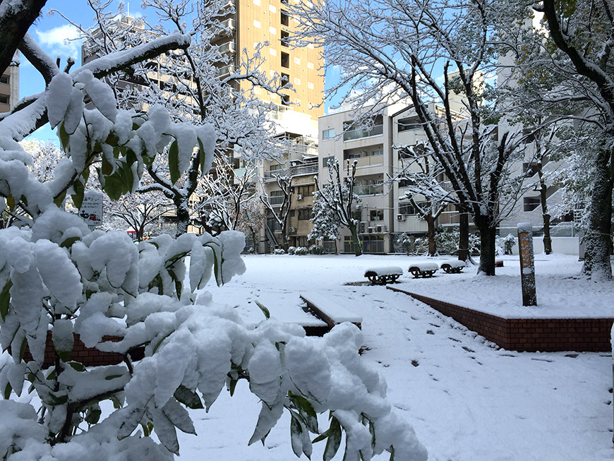 Parc de Nobori-machi enneigé, Hiroshima