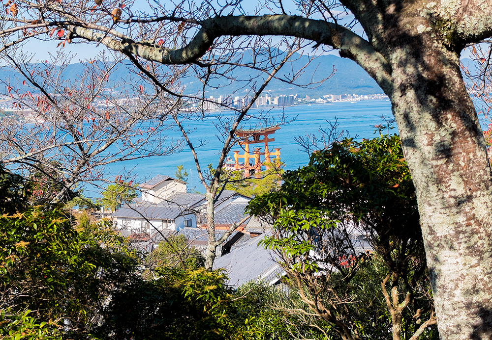 Vue sur le Torii depuis la pagode Tahōtō, Miyajima