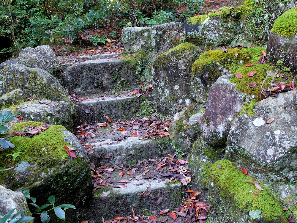 Chemin de pierre et de mousse, Parc Momijidani, Miyajima