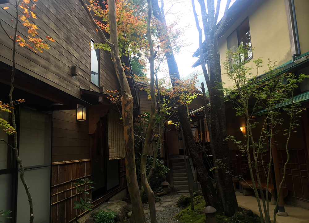 Jardin intérieur du ryokan Ichizen