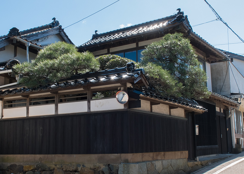 maisons traditionnelles japonaises, Izumo Taisha, Préfecture de Shimane