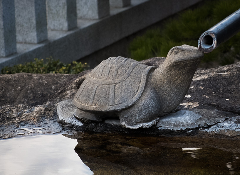 estatue de tortue, Japon