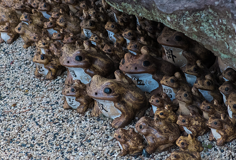 grenouilles du temple Shoko-ji Hiroshima