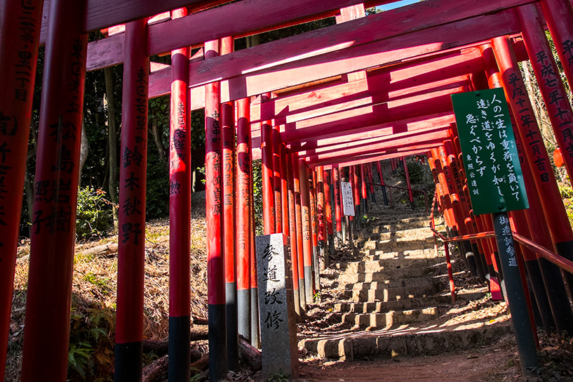 allée de torii rouges du sanctuaire Kinko Inari Hiroshima
