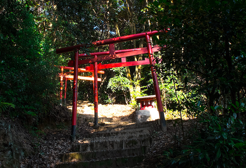 Torii dans la forêt du mont Futabayama Hiroshima