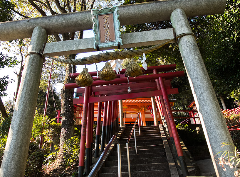 Torii d'entrée du sanctuaire Kinkō Inari, Hroshima