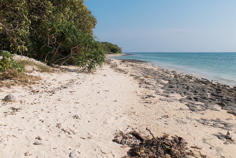 plage de Kaiji et son sable étoilé, Taketomi-jima, Okinawa