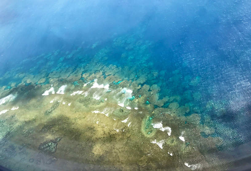 les mers turquoises et le corail d'Ishigaki