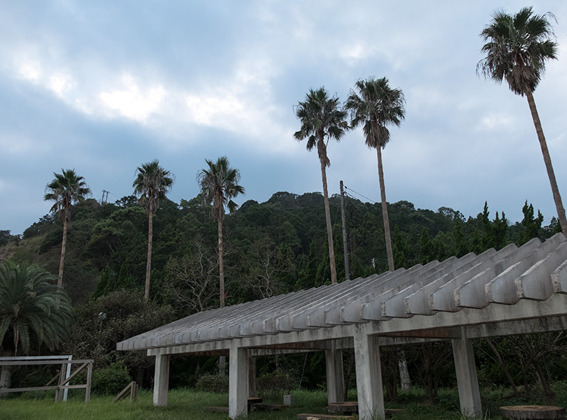 Palmiers, Ozuna Beach, Kaifu, Tokushima
