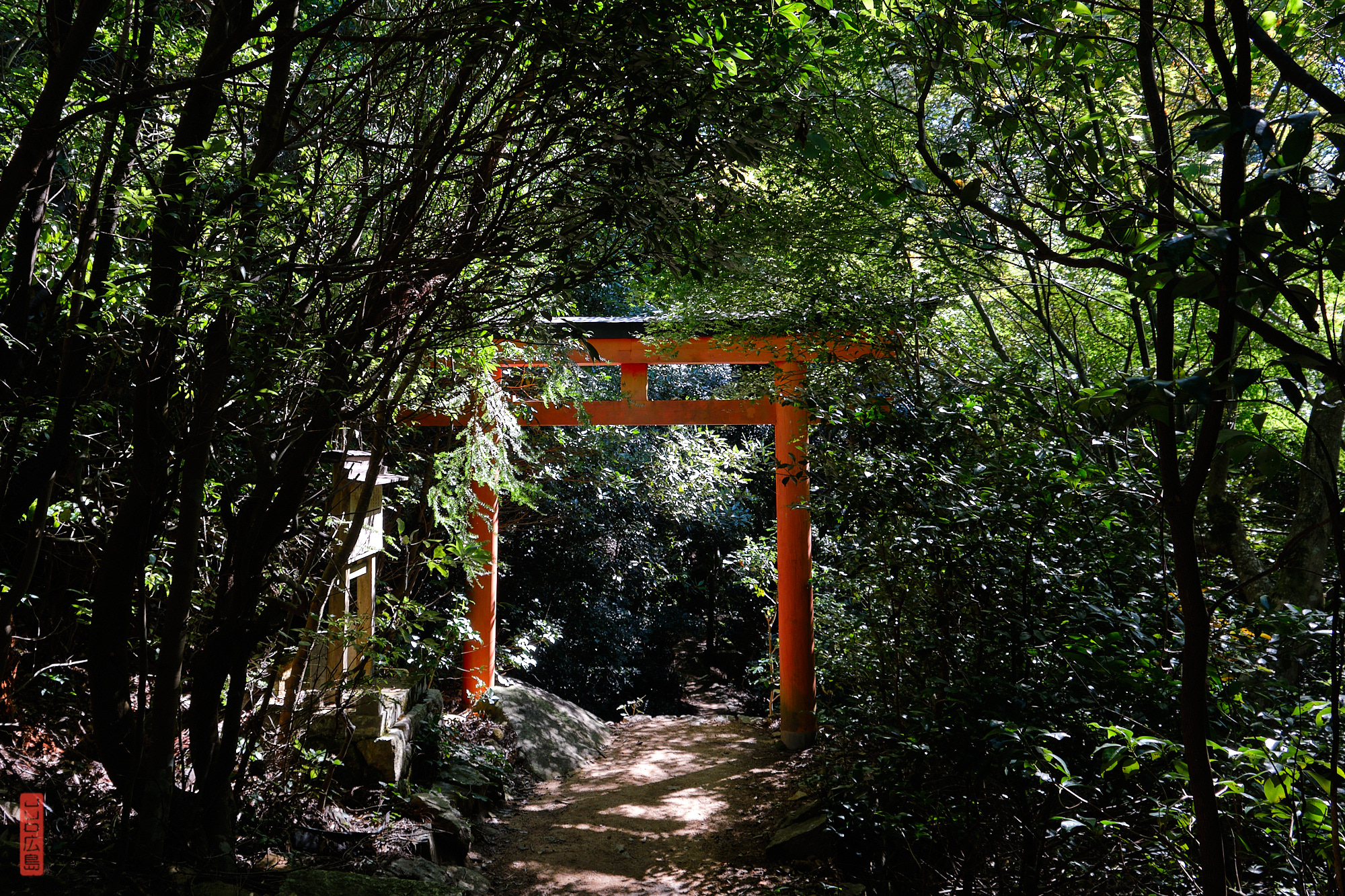 Torii du sanctuaire Miyama
